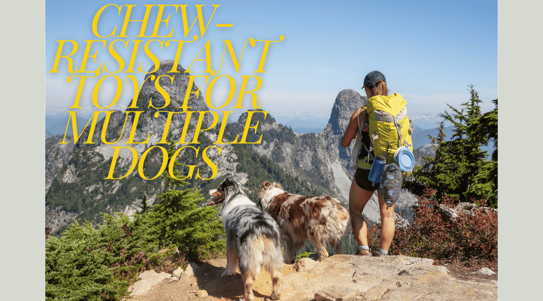 Chew-Resistant Toys for Multiple Dogs