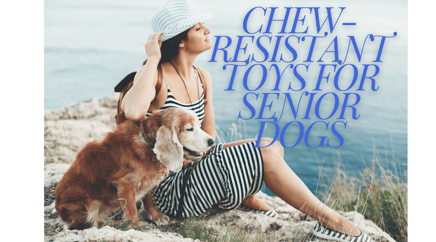 Chew-Resistant Toys for Senior Dogs