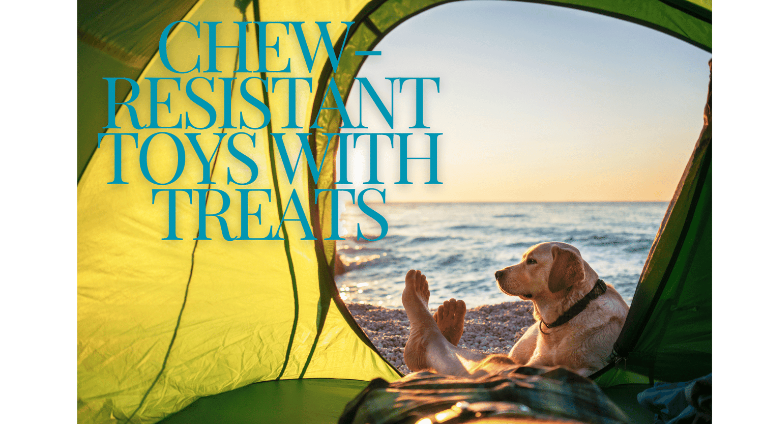 Chew-Resistant Toys with Treats