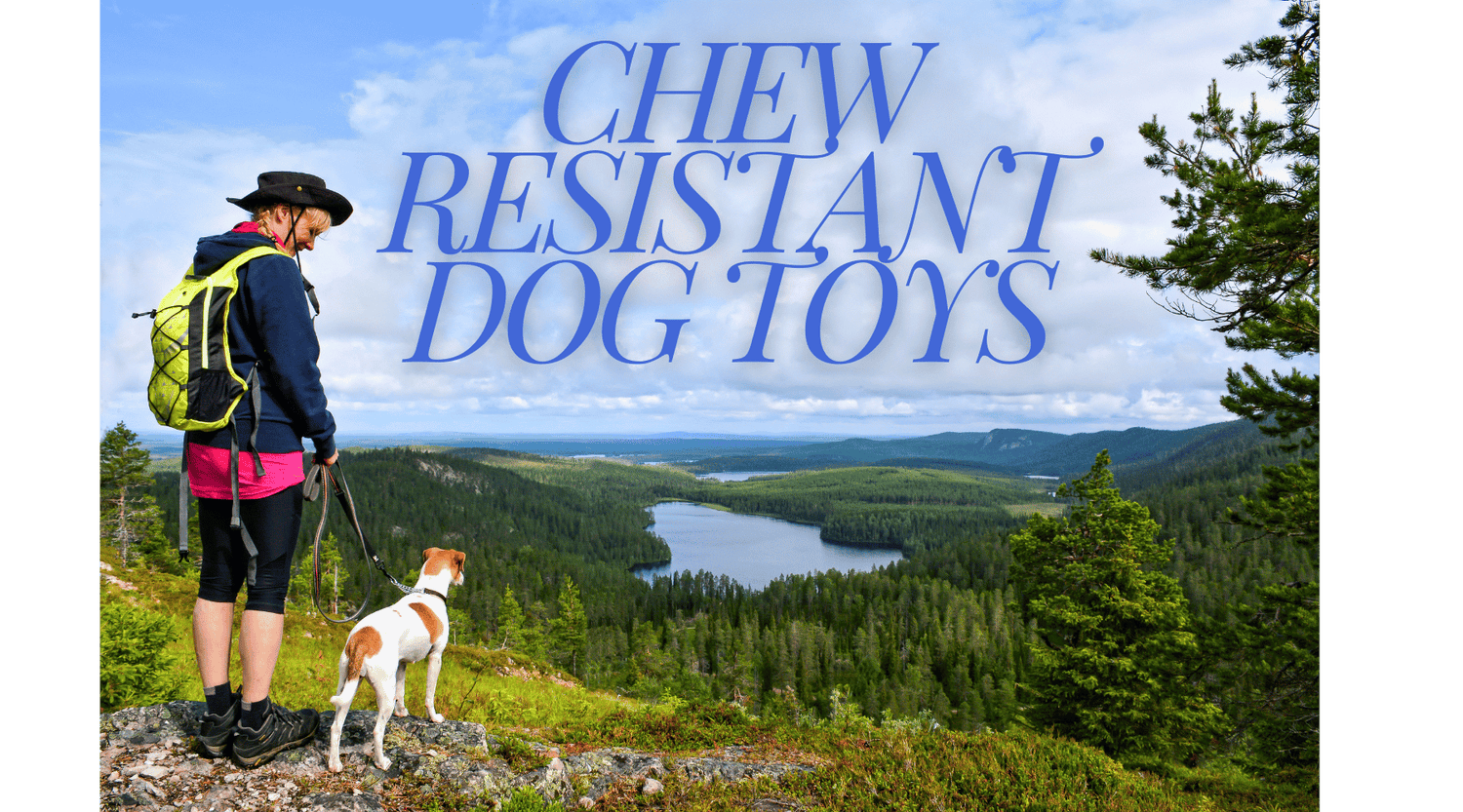 Chew Resistant Dog Toys