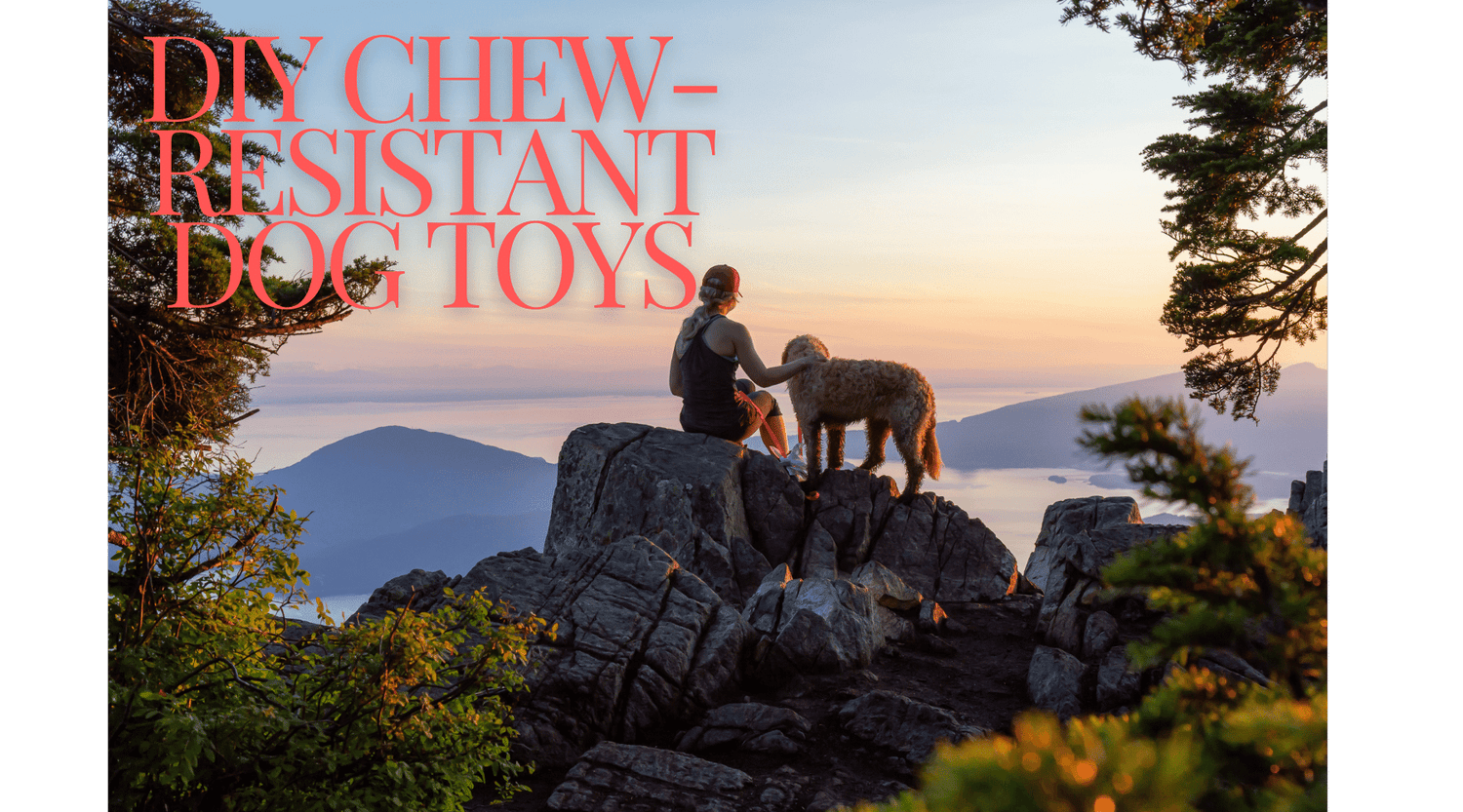 DIY Chew-Resistant Dog Toys