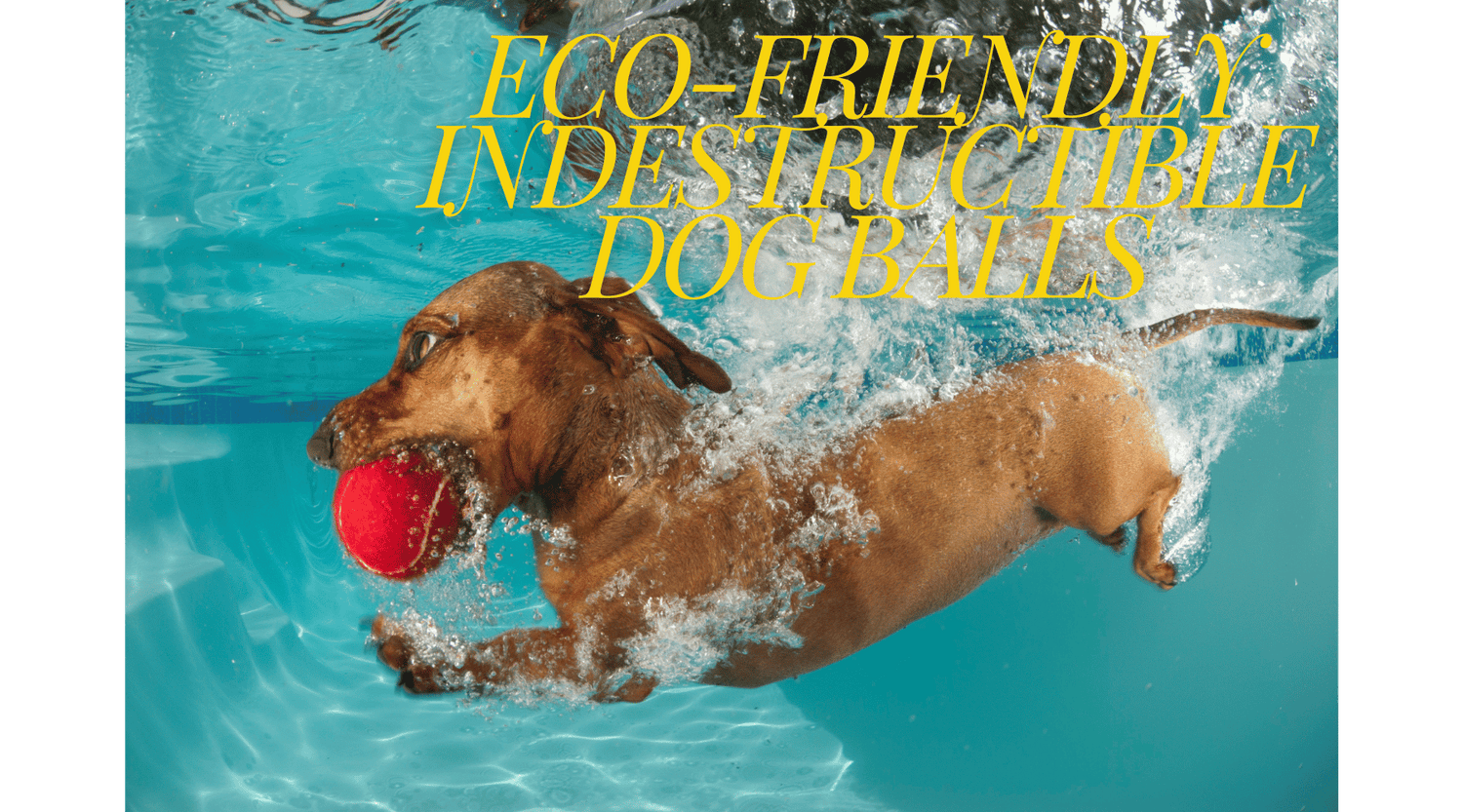 Eco-Friendly Indestructible Dog Balls