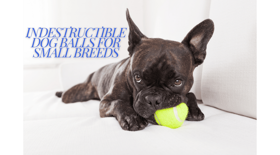 Indestructible Dog Balls for Small Breeds