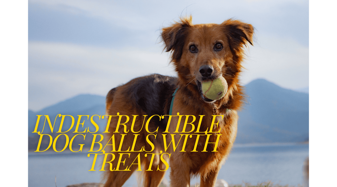 Indestructible Dog Balls with Treats