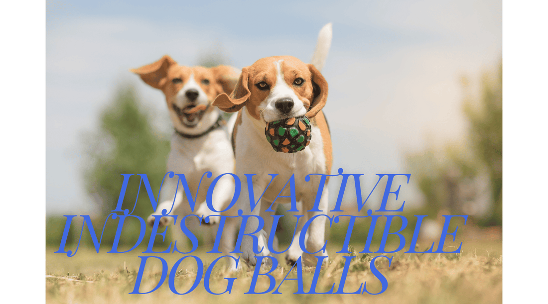 Innovative Indestructible Dog Balls