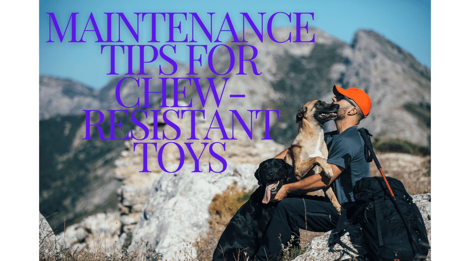 Maintenance Tips for Chew-Resistant Toys