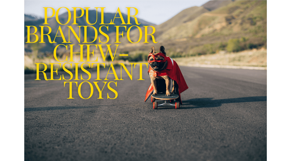 Popular Brands for Chew-Resistant Toys