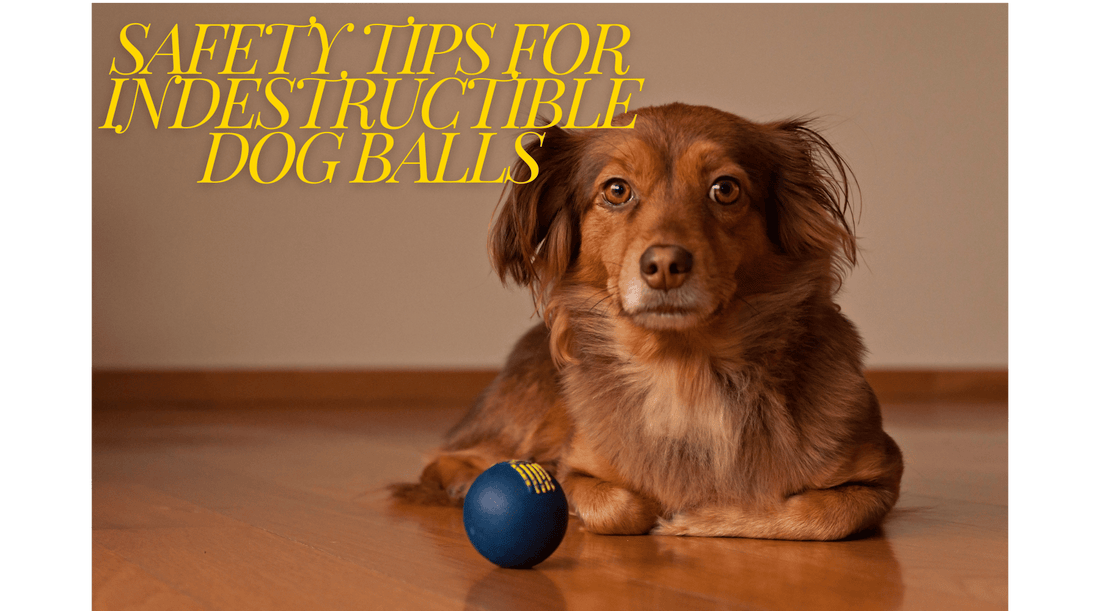 Safety Tips for Indestructible Dog Balls