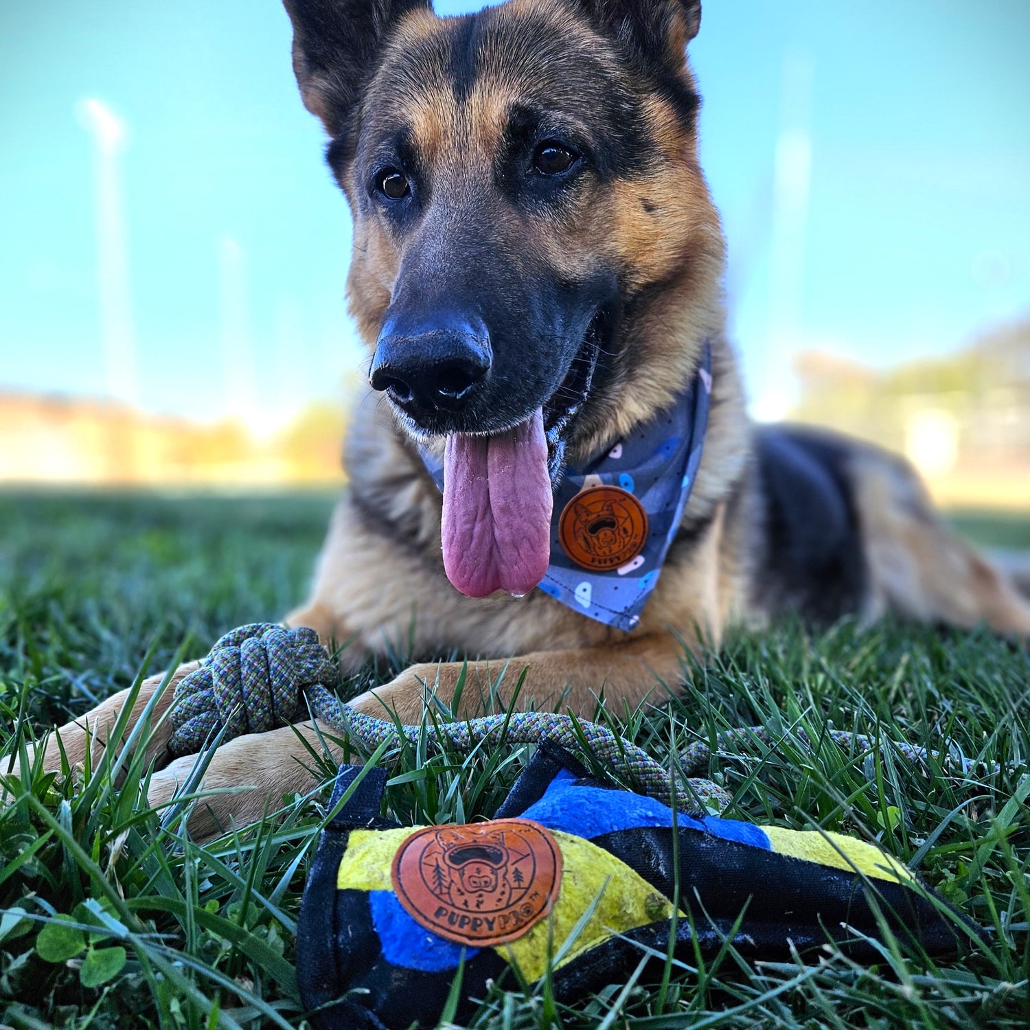 InDOGstructible Climbing Shoe Toy