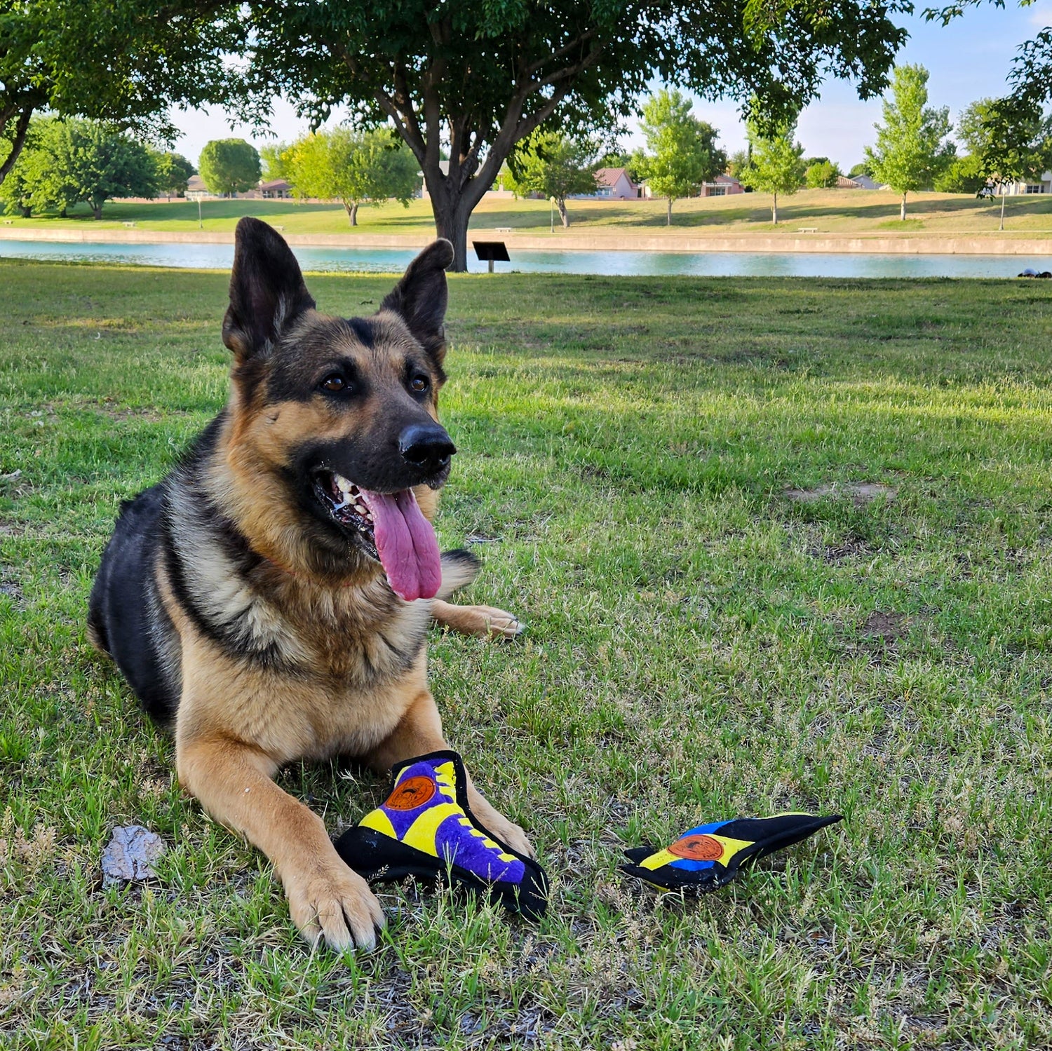 InDOGstructible Climbing Shoe Toy