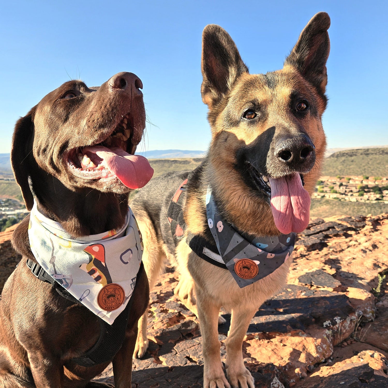 4-Way Stretch Doggie Bandana