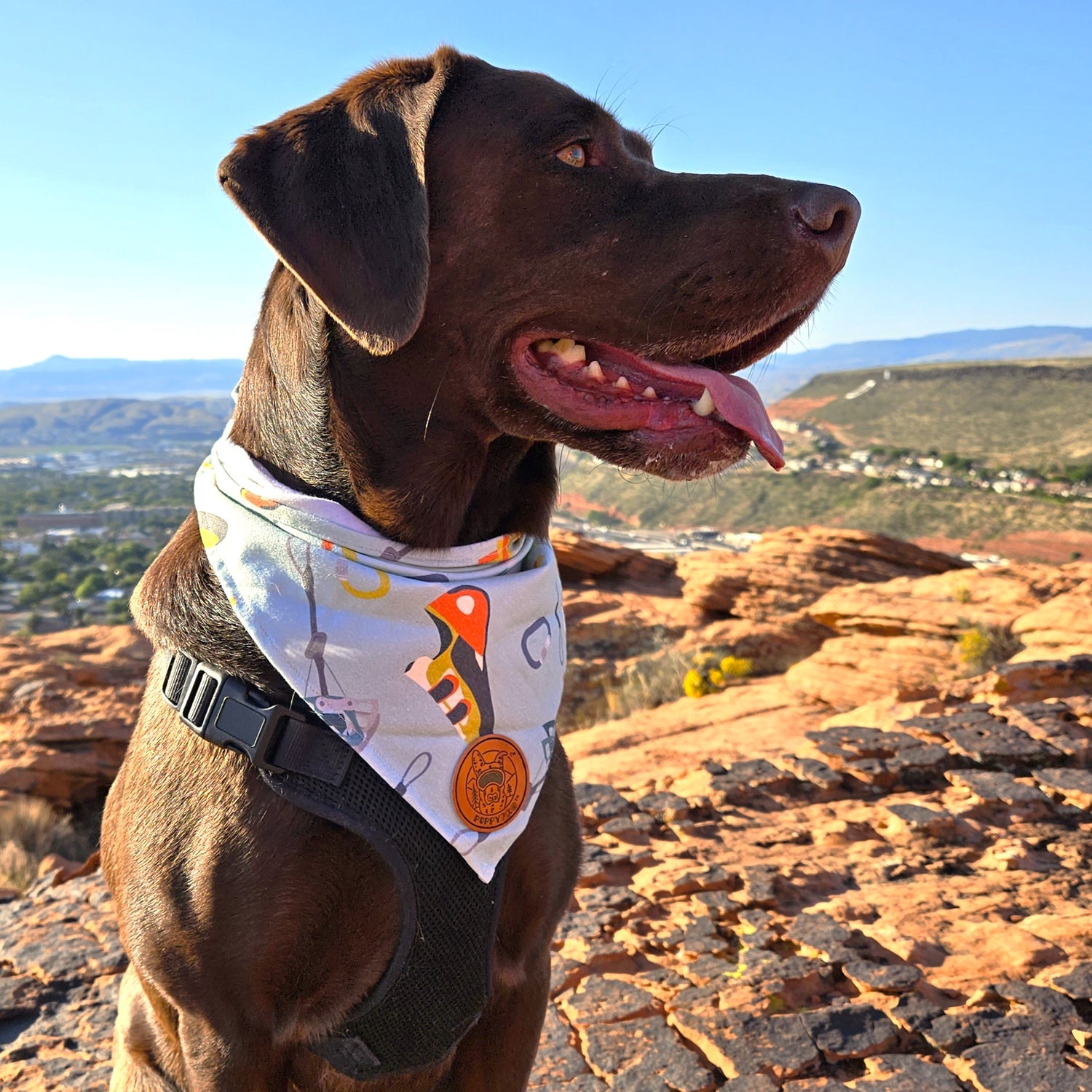 4-Way Stretch Doggie Bandana