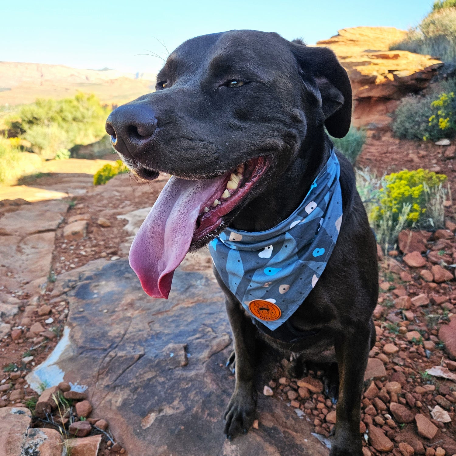 4-Way Stretch Doggie Bandana