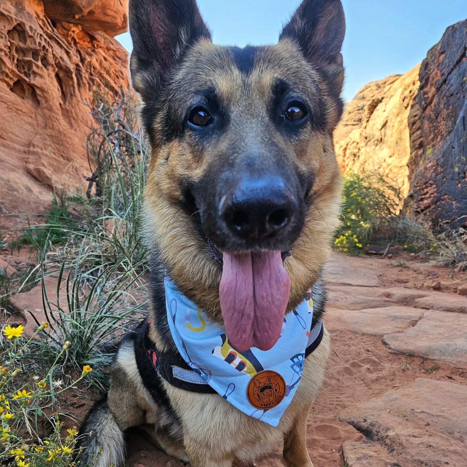 4-Way Stretch Doggie Bandana